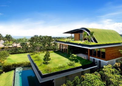 house-grass-pool-landscape-green